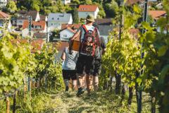 63ed4d80-a8cf-4305-9ab5-933cecc45004
